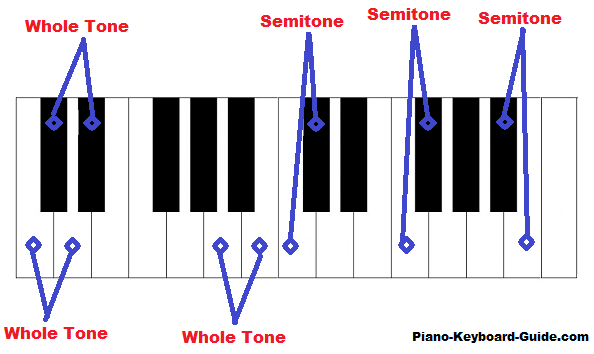 Whole Tones and Semitones (Whole Steps and Half Steps) In Music