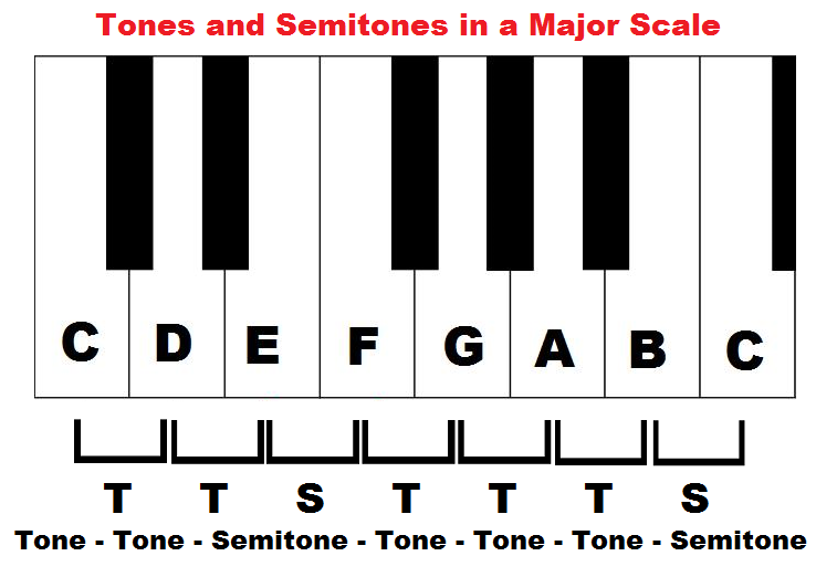 Tones and semitones in a major scale